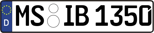 MS-IB1350