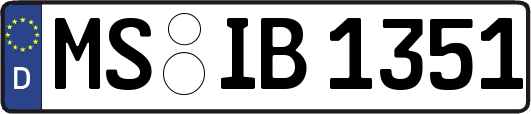 MS-IB1351