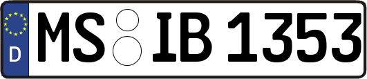 MS-IB1353