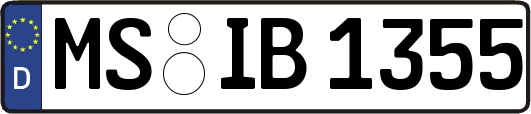 MS-IB1355