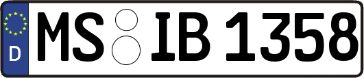 MS-IB1358