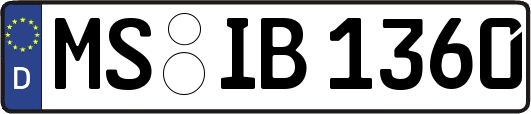 MS-IB1360
