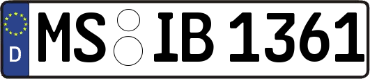 MS-IB1361