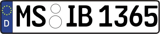 MS-IB1365