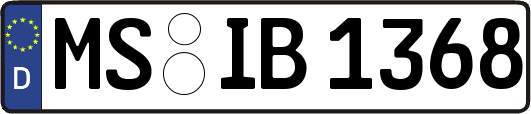 MS-IB1368