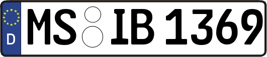 MS-IB1369
