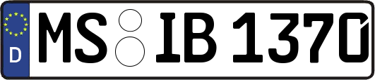 MS-IB1370