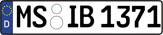 MS-IB1371