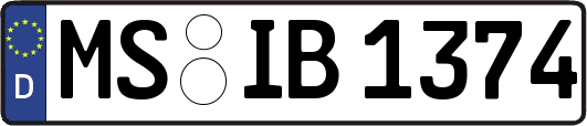 MS-IB1374