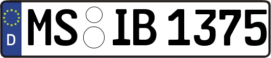 MS-IB1375