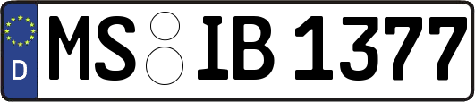 MS-IB1377