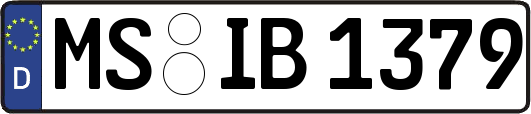 MS-IB1379