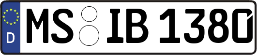 MS-IB1380