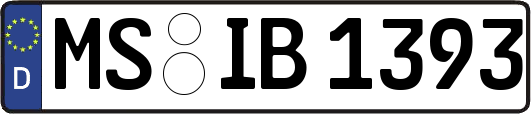MS-IB1393