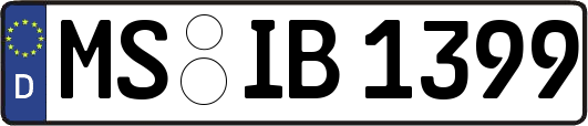 MS-IB1399