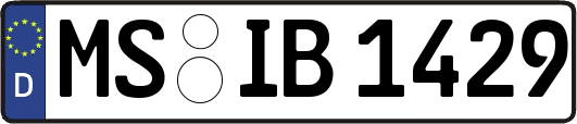 MS-IB1429