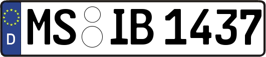 MS-IB1437