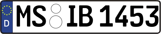 MS-IB1453
