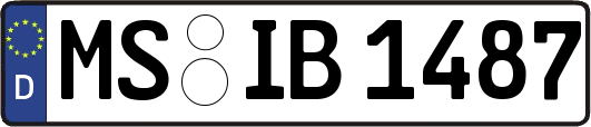 MS-IB1487