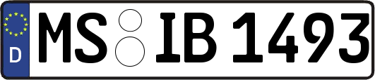 MS-IB1493