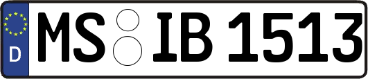 MS-IB1513