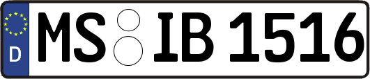 MS-IB1516
