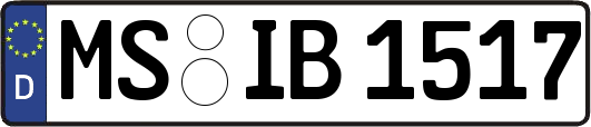 MS-IB1517