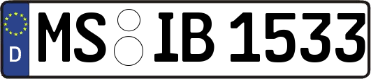 MS-IB1533