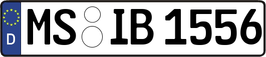 MS-IB1556