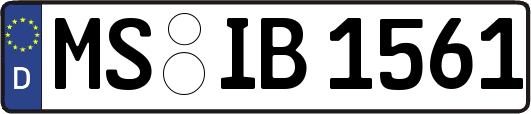 MS-IB1561