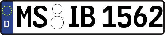 MS-IB1562