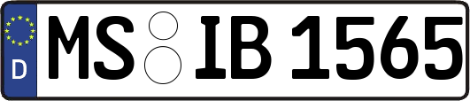 MS-IB1565