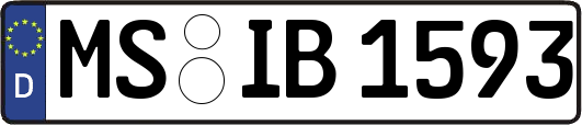 MS-IB1593