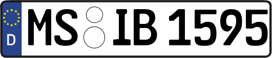 MS-IB1595