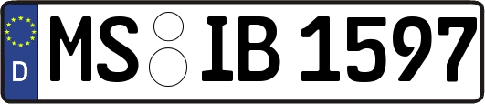 MS-IB1597
