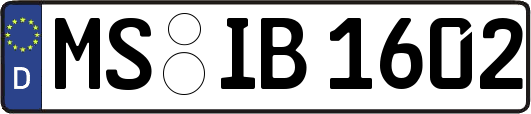 MS-IB1602