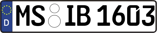 MS-IB1603