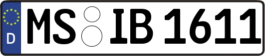 MS-IB1611
