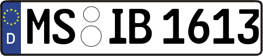 MS-IB1613