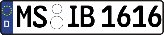 MS-IB1616