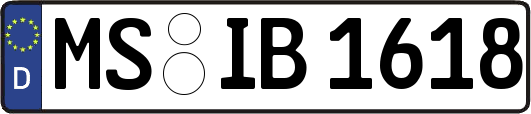 MS-IB1618