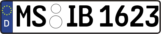 MS-IB1623