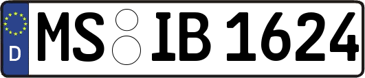 MS-IB1624