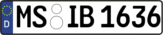 MS-IB1636