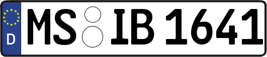 MS-IB1641