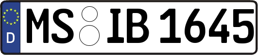 MS-IB1645