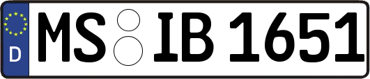 MS-IB1651