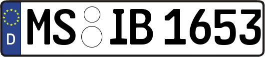 MS-IB1653