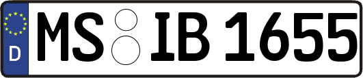 MS-IB1655