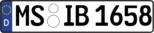 MS-IB1658